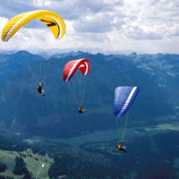 paragliders