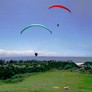 paragliders