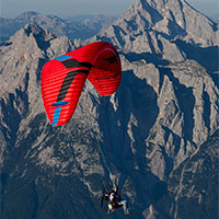 Paragliders